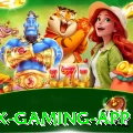 14pg Max Gaming App