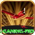79c - Gaming Pro