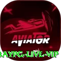 baypg - Live VIP